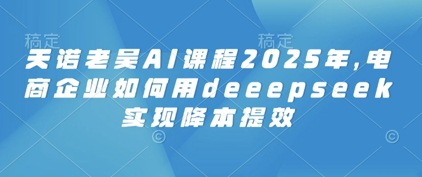 天诺老吴AI课程2025年，电商企业如何用deeepseek实现降本提效-时课网赚