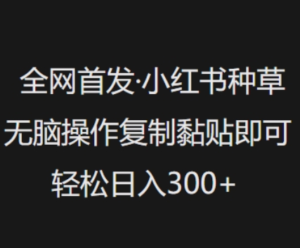 全网首发，小红书种草无脑操作，复制黏贴即可，轻松日入3张-时课网赚