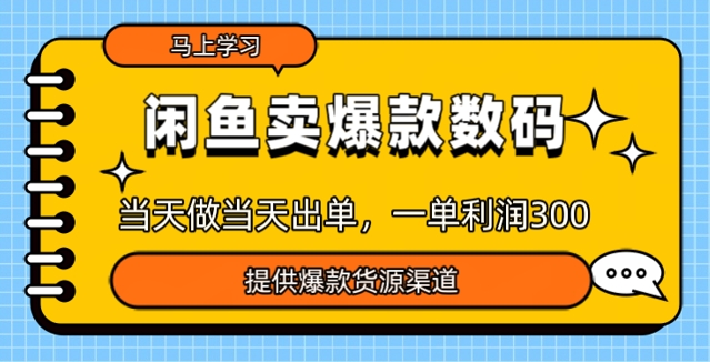 闲鱼卖爆款货源，当天做当天出单，一单利润3张-时课网赚