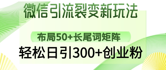 微信引流裂变新玩法：布局50+长尾词矩阵，轻松日引300+创业粉-时课网赚