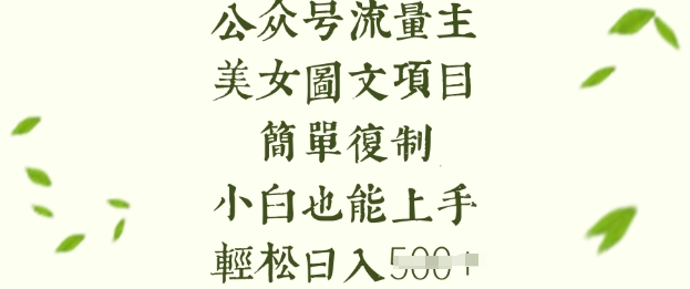 流量主长期收益项目，美女图片简单复制，小白也能上手，轻松日入5张-时课网赚