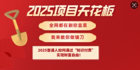 2025项目天花板普通人如何通过知识付费，实现财F自由【揭秘】-时课网赚