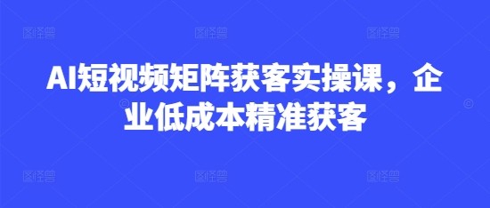 AI短视频矩阵获客实操课，企业低成本精准获客-时课网赚