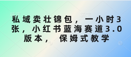 私域卖壮锦包，一小时3张，小红书蓝海赛道3.0版本， 保姆式教学-时课网赚